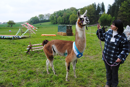 01_veranstaltungen_header_300pxh____Lamarama313.jpg